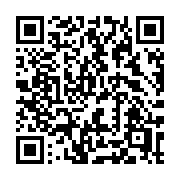 QR code linking to https://deploy-preview-2741--gohugoio.netlify.app/functions/fmt/println/